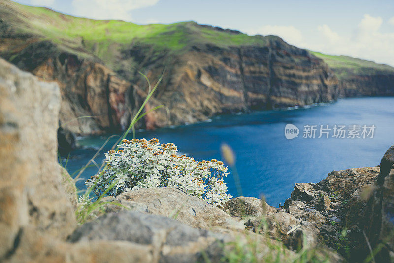 葡萄牙马德拉岛，ponta de SAO lourenco半岛